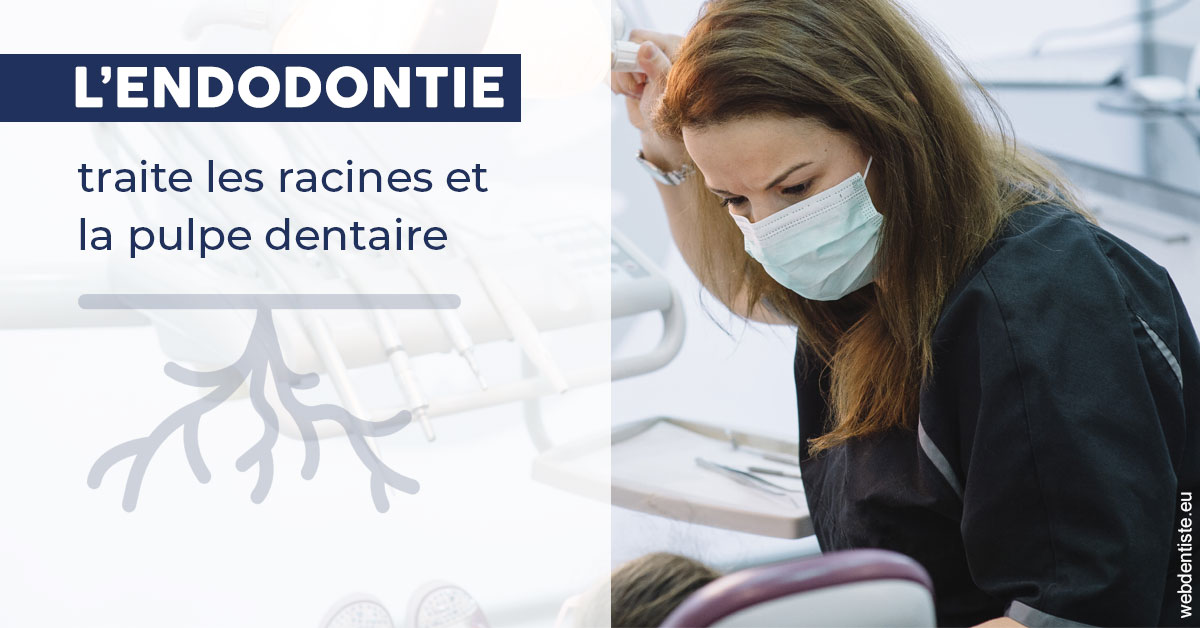 https://dr-infante-christian.chirurgiens-dentistes.fr/L'endodontie 1
