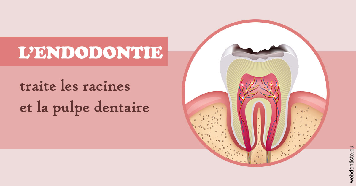 https://dr-infante-christian.chirurgiens-dentistes.fr/L'endodontie 2